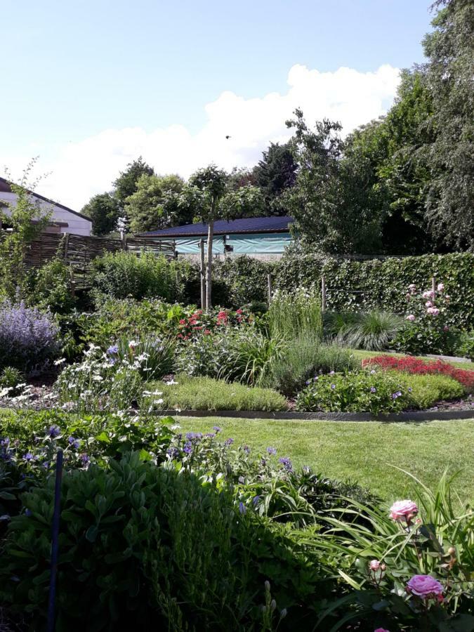 Les Glaneuses Bed & Breakfast Mettet Exterior foto